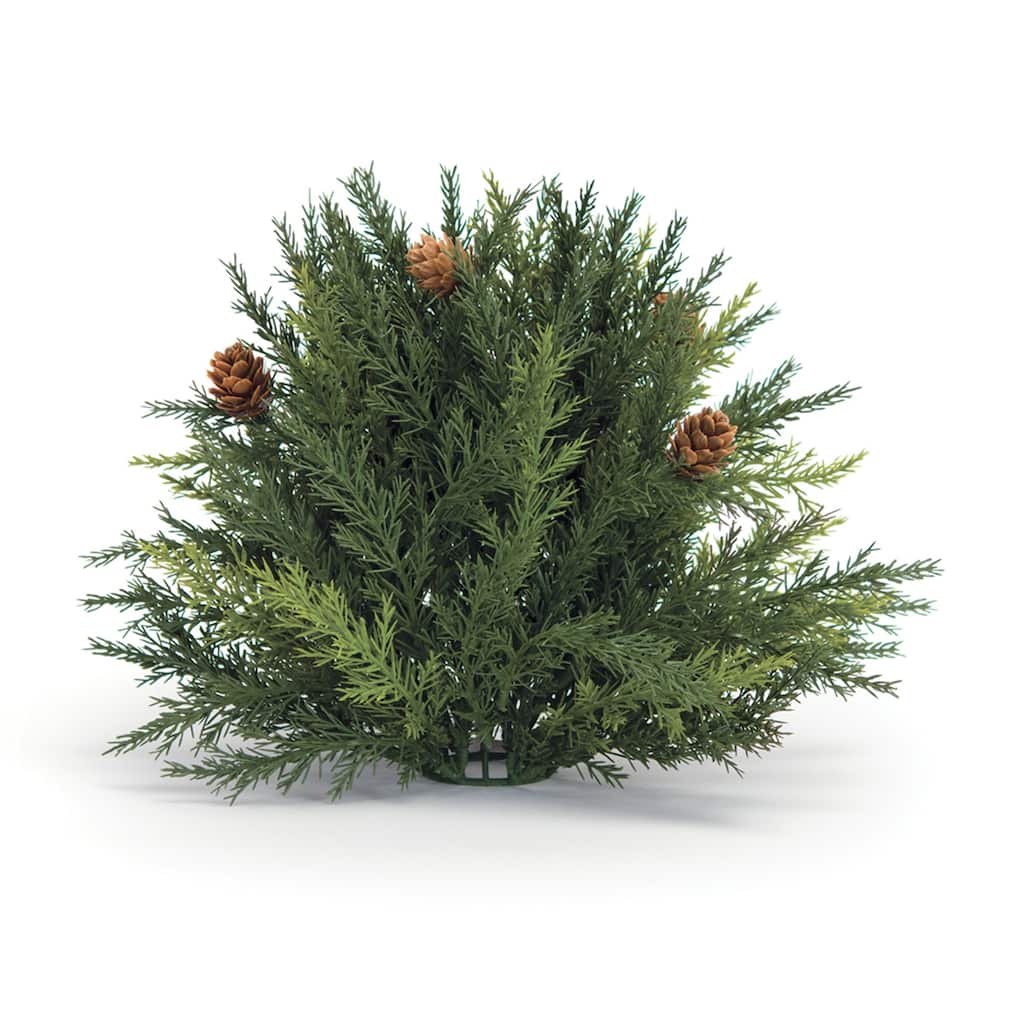 Arborvitae Half Orb 8.5"D - 9 x 9 x 9