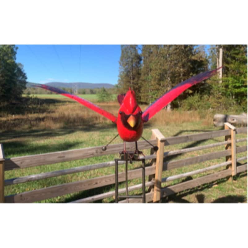 88" Black and Red Contemporary Cardinal Outdoor Garden Rocker