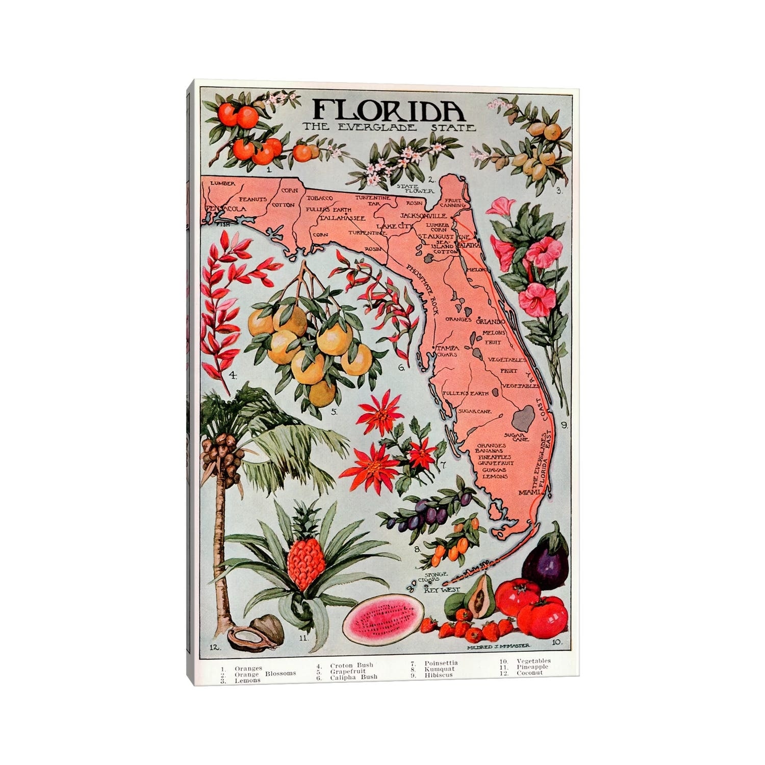 iCanvas "State Map of Florida (Natural Resources) - Vintage Poster" by Unknown Artist Canvas Print