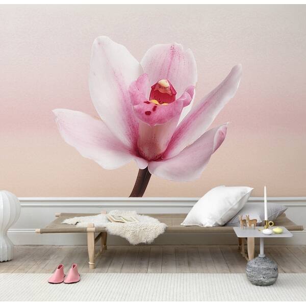 Orchid Sticker, Orchid Wall Decor, Orchid Wall Art, Orchid Decal Bed Bath & Beyond 33064219