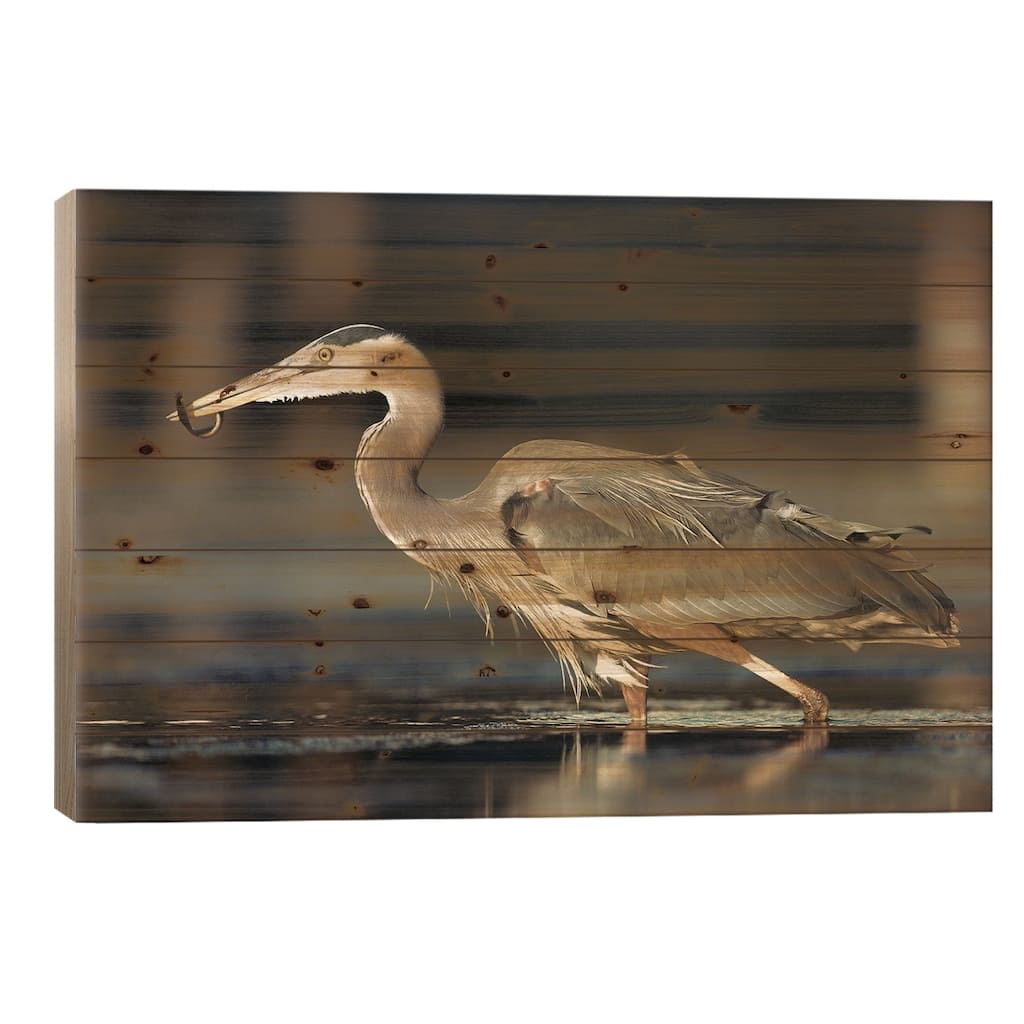 Great Blue Heron With Captured Fish, British Columbia, Canada Print On Wood by Tim Fitzharris - Multi-Color