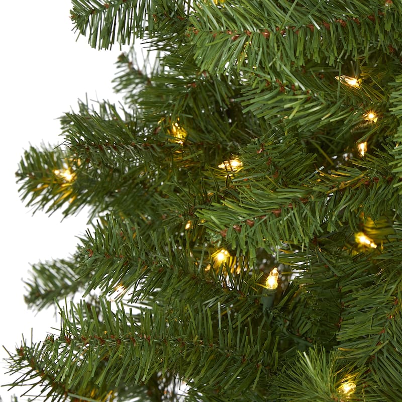 6' Pre-Lit Springfield Artificial Christmas Tree, Warm Clear LED Lights - 6 Foot