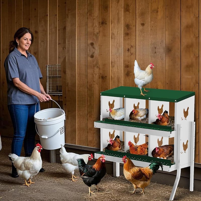Wall-Mount or Free-Standing Metal Chicken Nesting Box for Hens, Green with Legs