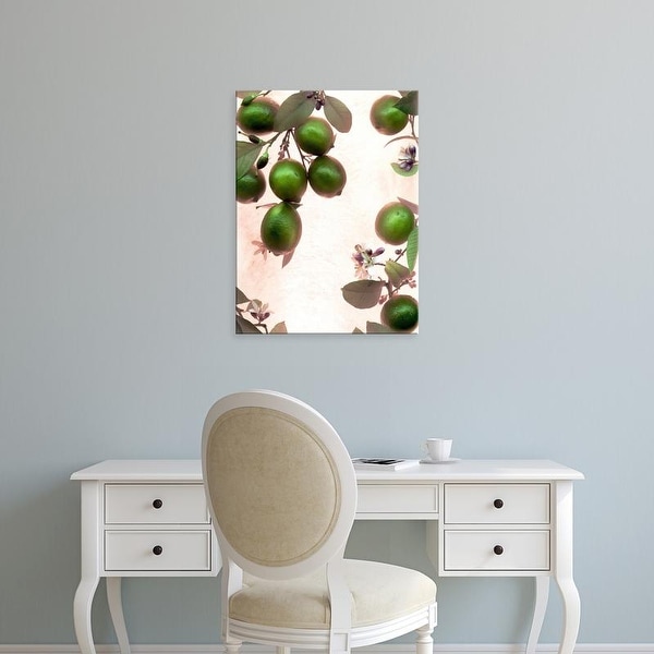 Easy Art Prints Alan Blaustein's 'Limes #1' Premium Canvas Art