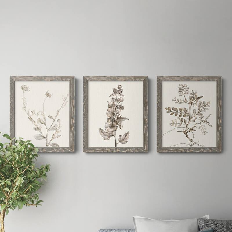 Neutral Botanical Study IV-Premium Framed Canvas - Ready to Hang - Multi-Color