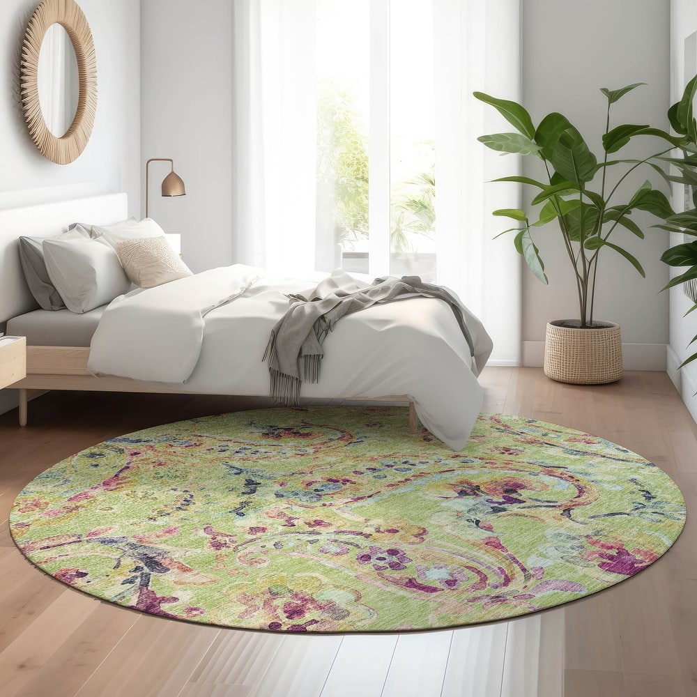 Premium Washable Super Soft Paisley Mayfield Rug