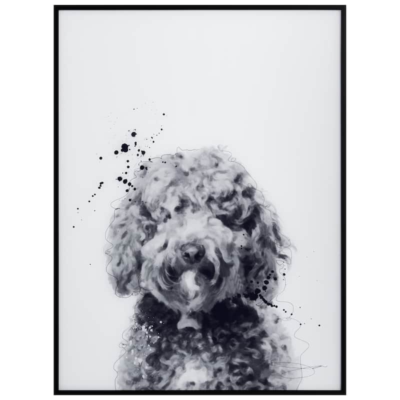 "Labradoodle" Black and White Pet Art on Printed Glass Encased with a Black Anodized Frame