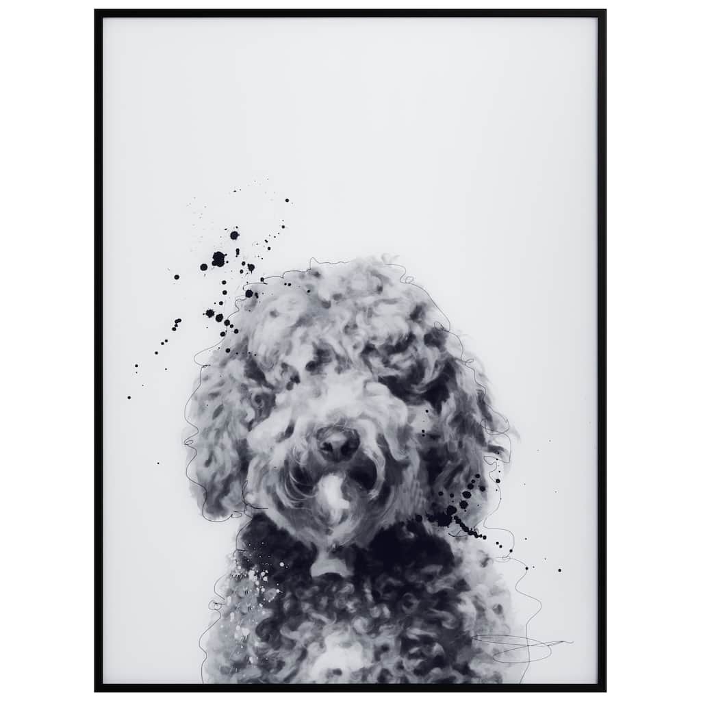 "Labradoodle" Black and White Pet Art on Printed Glass Encased with a Black Anodized Frame