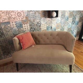 Nourison Mina Victory Lifestyles Velvet 16-inch Decorative Throw Pillow