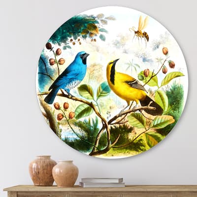 Designart 'Blue and Yellow Bird In The Wild' Traditional Metal Circle Wall Art