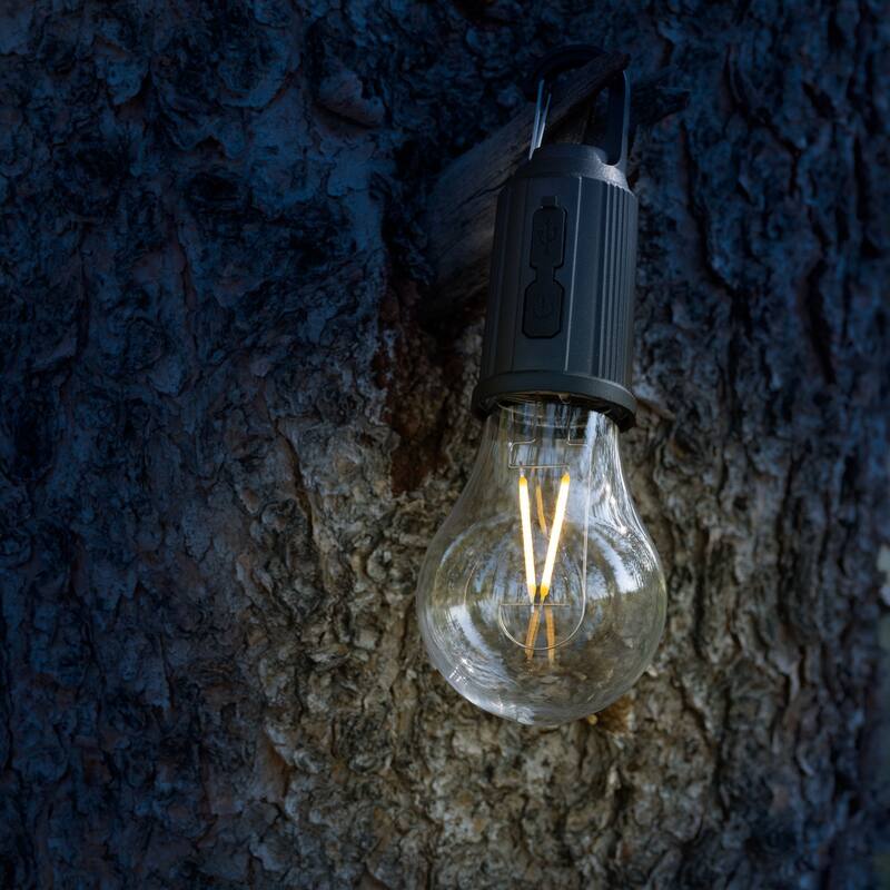 Novelty Lights Rechargeable Camp Light, Warm White LED Globe, USB-C Recharging