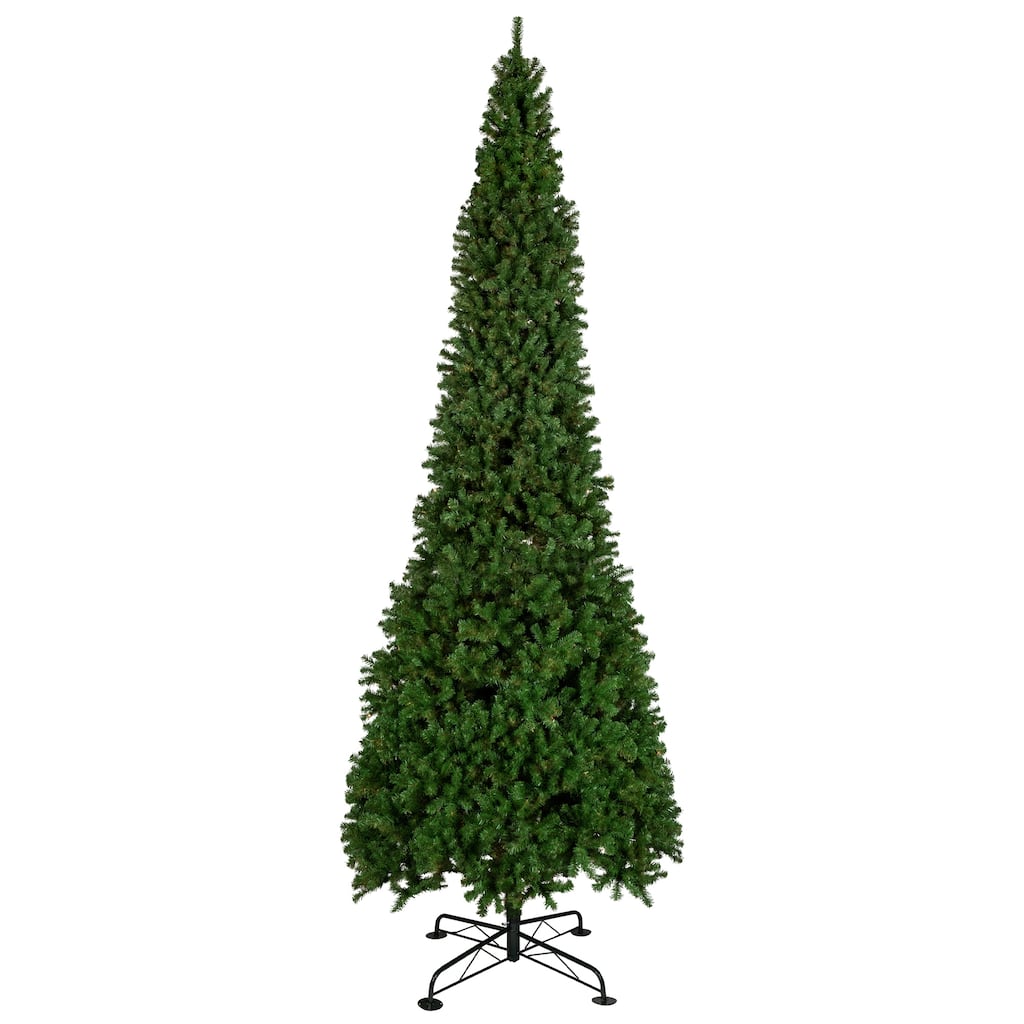 16' Pendleton Spruce Slim Artificial Christmas Tree Unlit