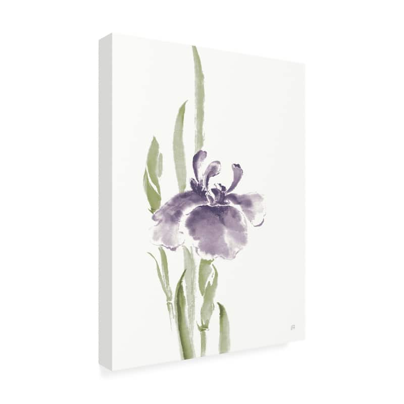 Chris Paschke 'Japanese Iris II Purple Crop' Canvas Art - Bed Bath ...