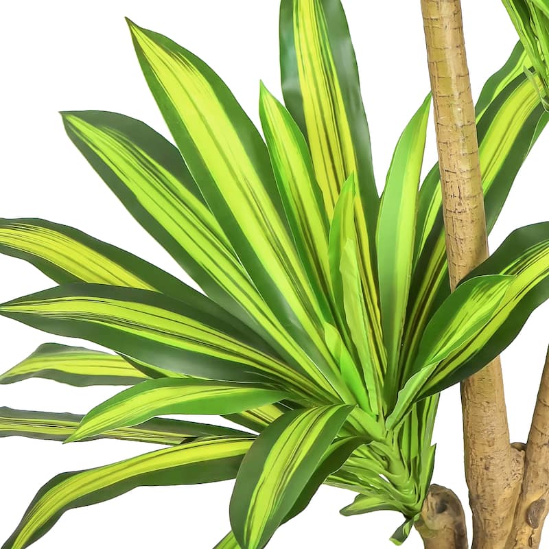 6ft Real Touch Artificial Dracaena Tree Plant in Black Pot - 72" H x 30" W x 30" DP