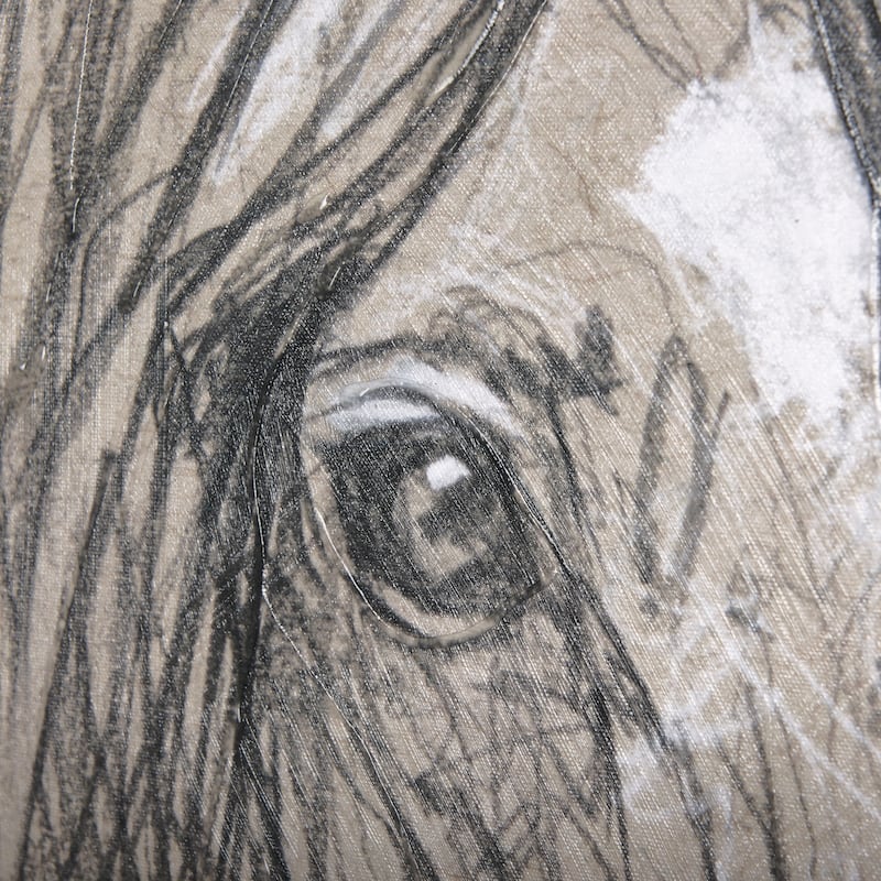 Sketch of Animal VII (Horse) (30 x 45) Canvas Art Print