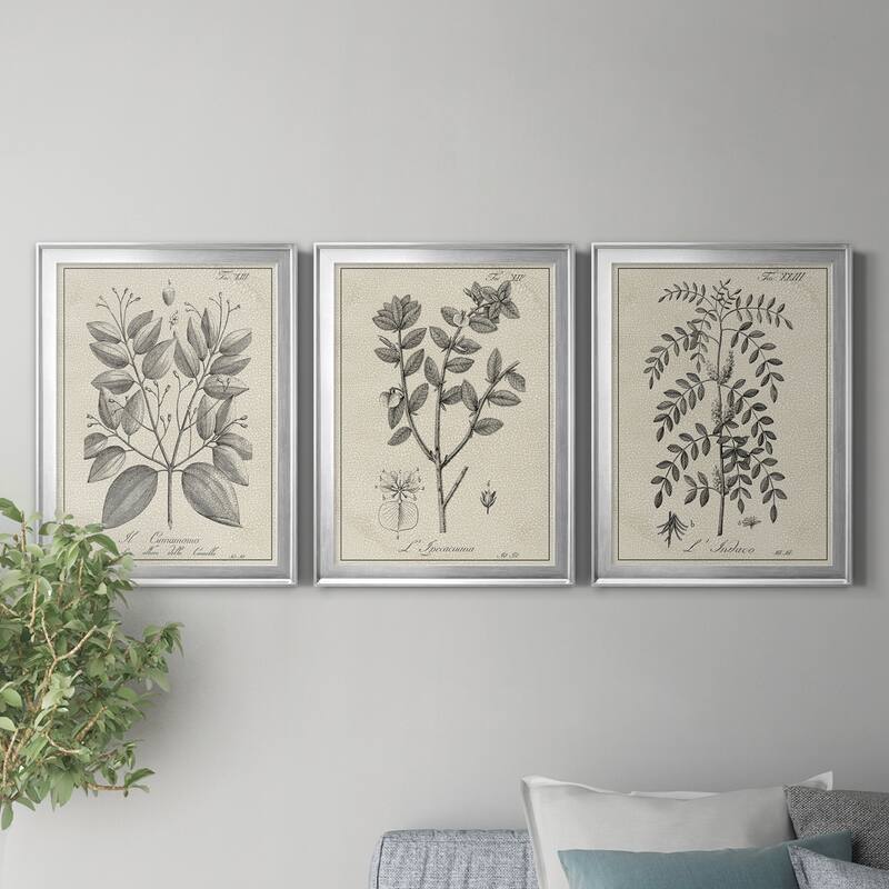 Antique Black & White Botanical VII Premium Framed Canvas - Ready to Hang - Multi-Color