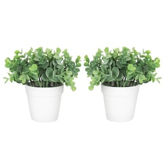 Set of 2 Artificial Eucalyptus Plant in White Pot 7in - Green - Bed Bath &  Beyond - 35727929