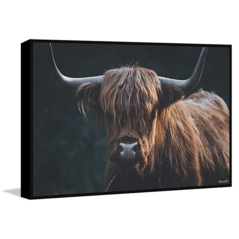 Thick Horns Floater Framed Print on Canvas