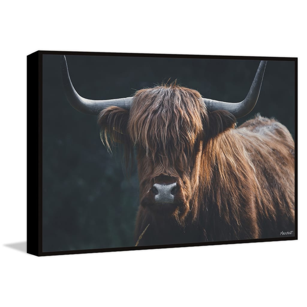 Thick Horns Floater Framed Print on Canvas