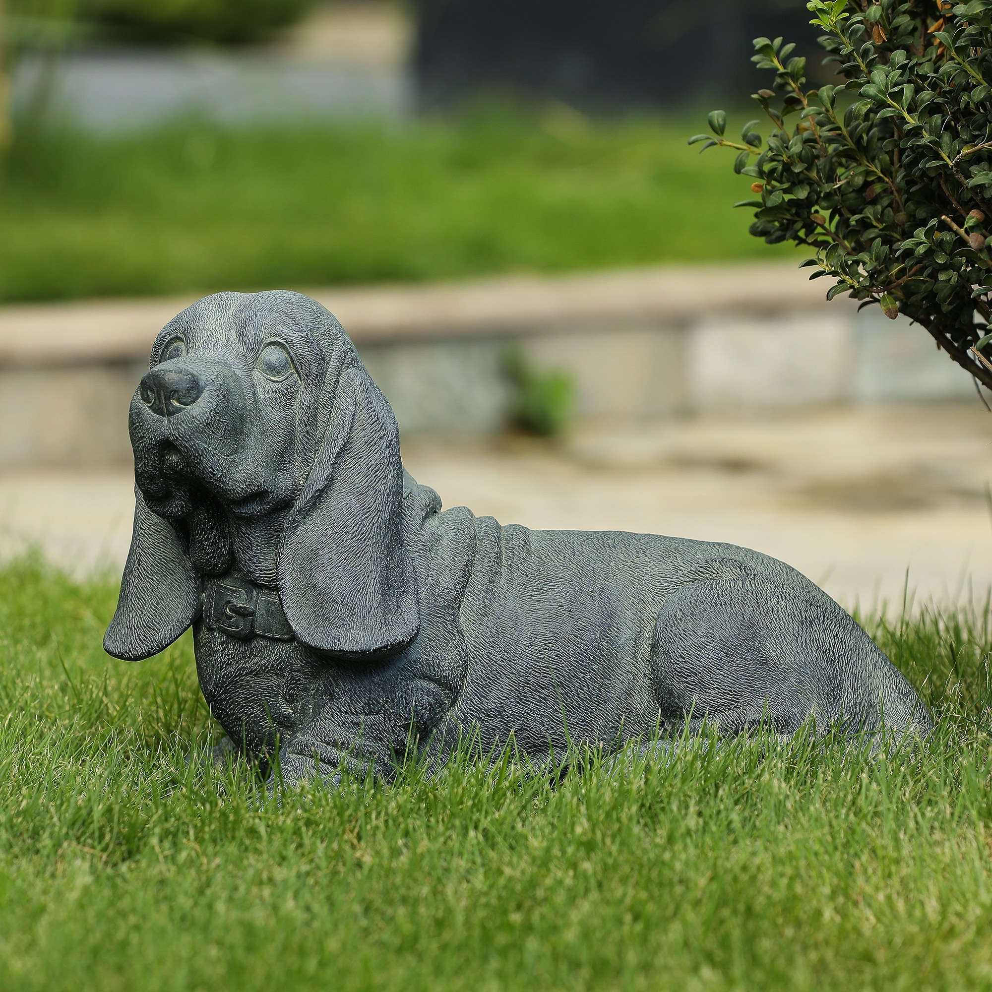 Grey sales basset hound