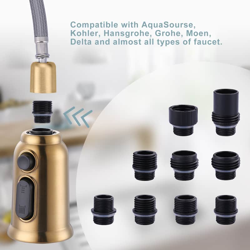 Pull Down Kitchen Faucet Head Replacement with 9 Adapter Kit