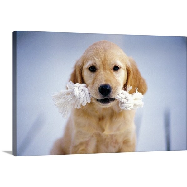 golden retriever canvas wall art