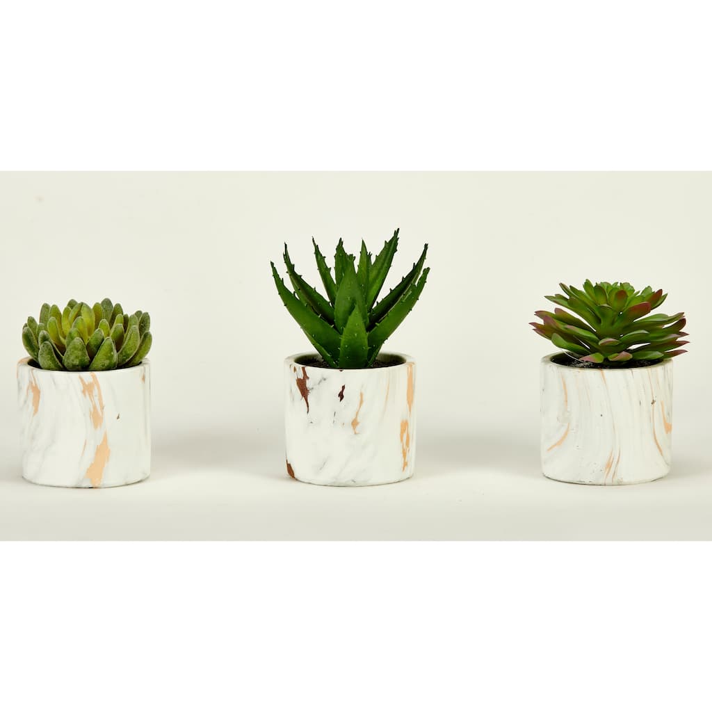 5" Succulent in 4" Faux Marble Cement Pot, Set of 3 - Green - 5