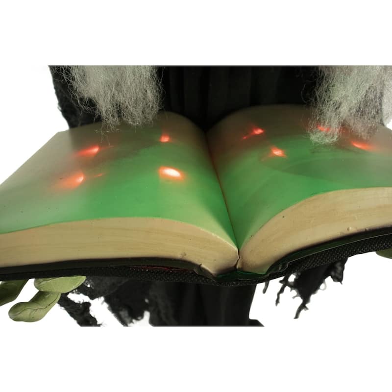 Haunted Hill Farm Life-Size Poseable Witch with Spell Book, Lights and Sound, Indoor/Covered Outdoor Halloween Decoration