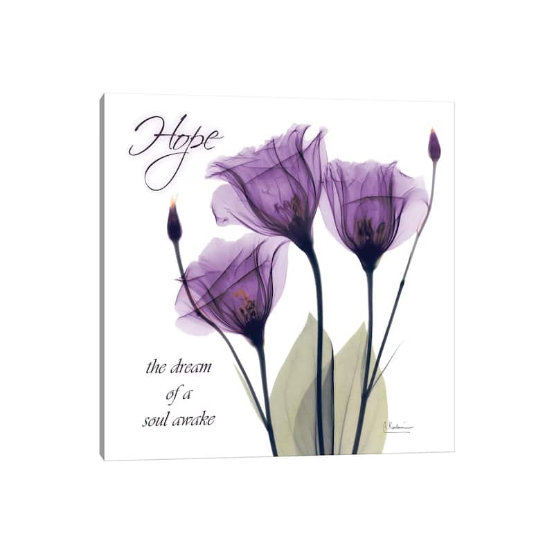 iCanvas "Hope Tulip" by Albert Koetsier Canvas Print