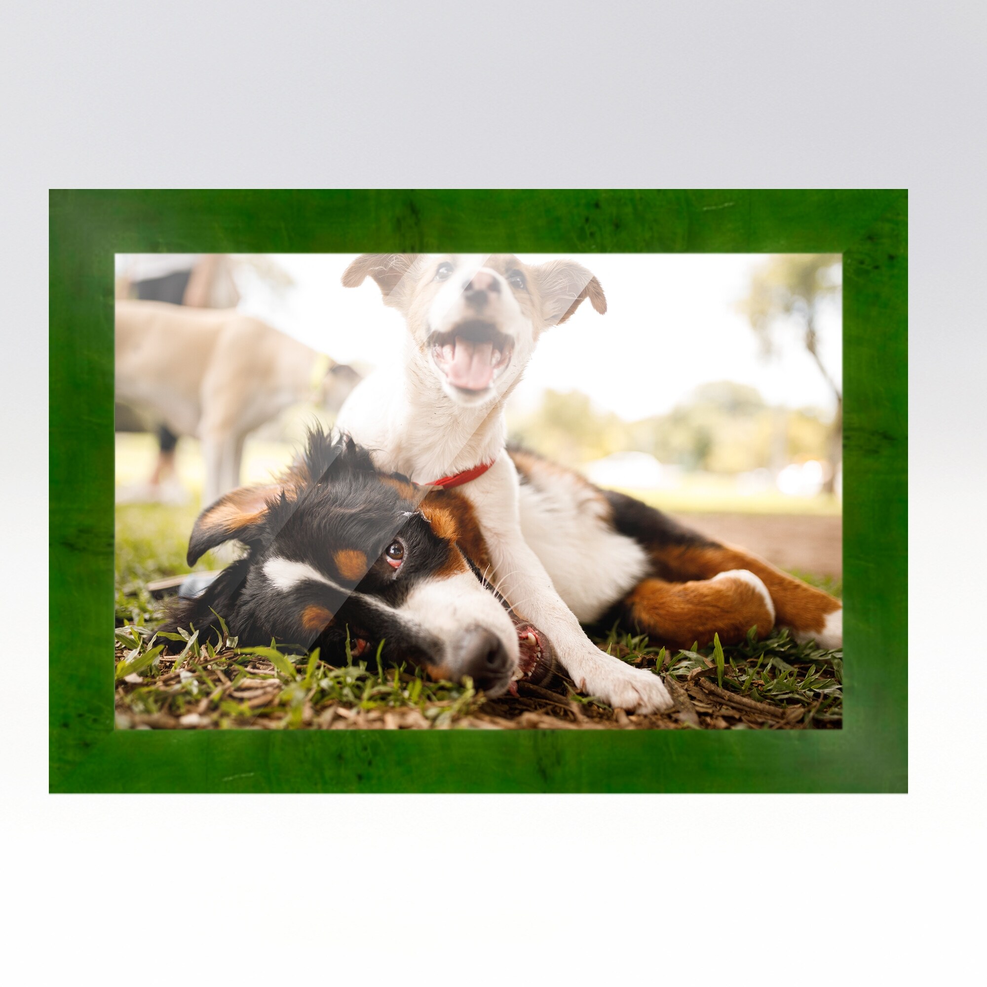 16x20 Green Picture Frame - Wood Picture Frame Complete with UV -  CustomPictureFrames.com