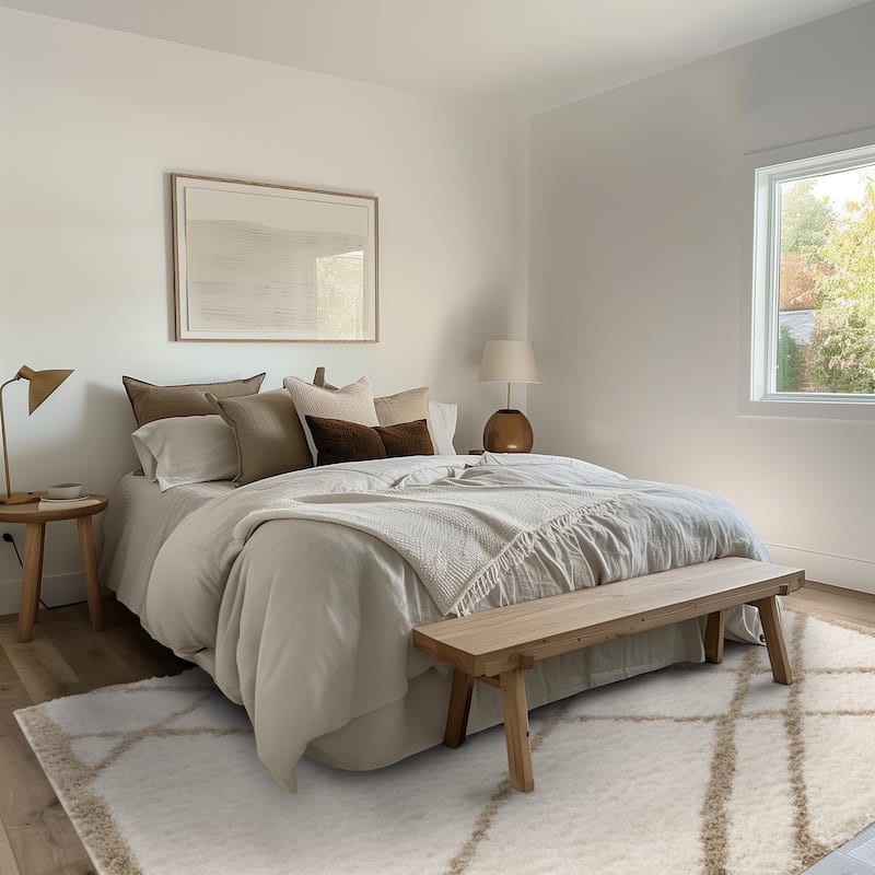Taylor Collection - Soft Shag Area Rug