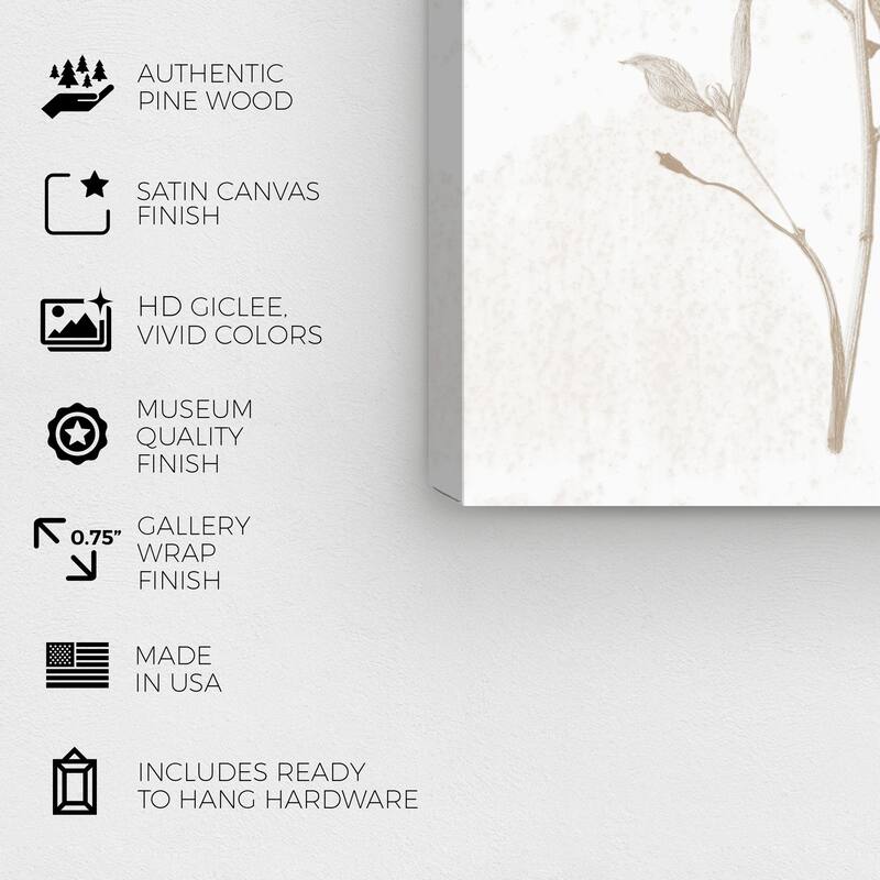 Wynwood Studio Canvas Floral and Botanical White Pressed Plant II White and Brown Modern & Contemporary Wall Art Canvas Print