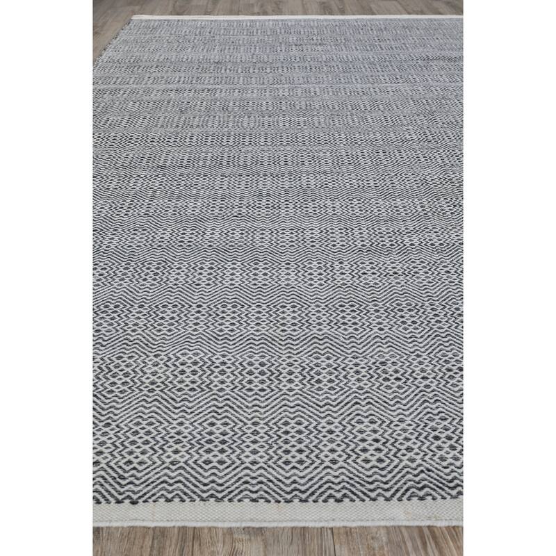 Echo Indoor/Outdoor Flatweave PET yarn Ivory/Black Area Rug.