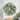 Woodland Pine Artificial Wreath with Ornaments - 20"