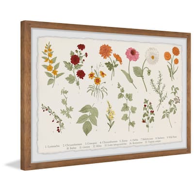Wild Rose Framed Print