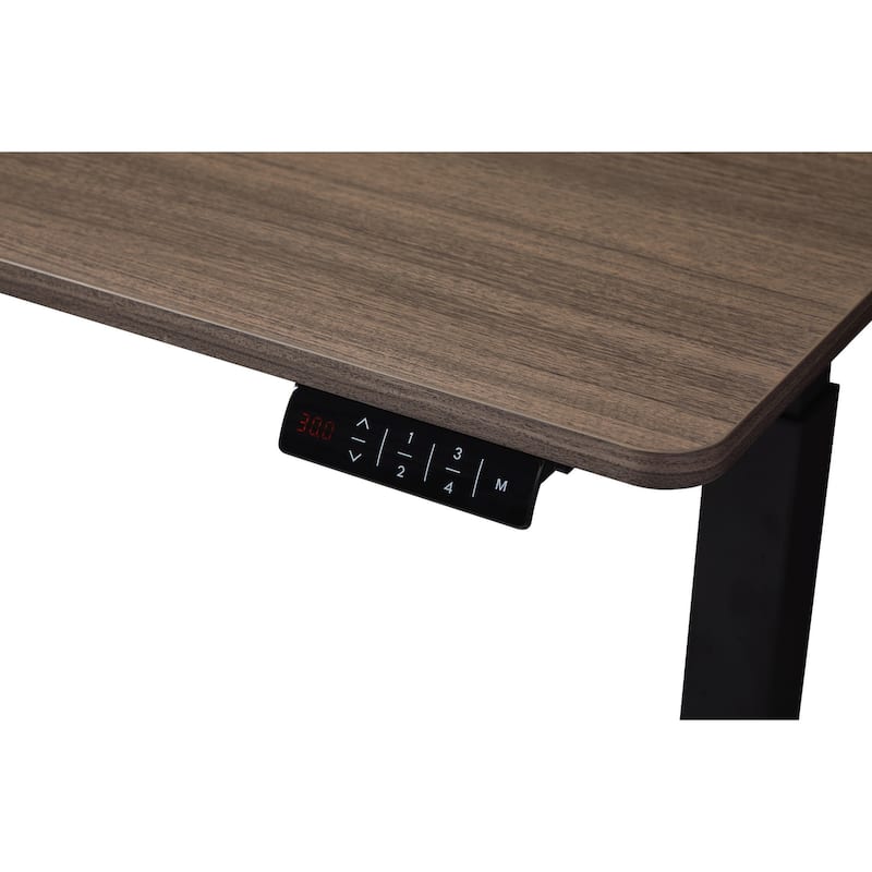 KOWO K304 55 Inch Electric Height Adjustable Desk Sit to Stand Workstation for Home Office, Ergonomic Computer Desk with Memory