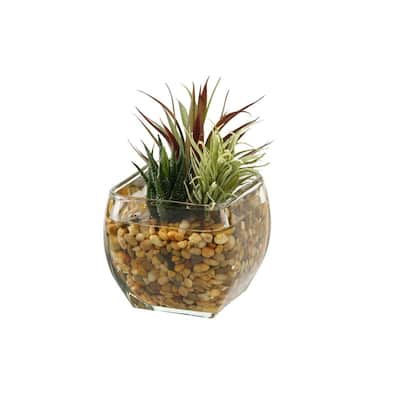 HomeStock Aloe and Easter Grass in Glass Cube - Compact Faux Greenery for Seasonal or Year-Round Use - 6