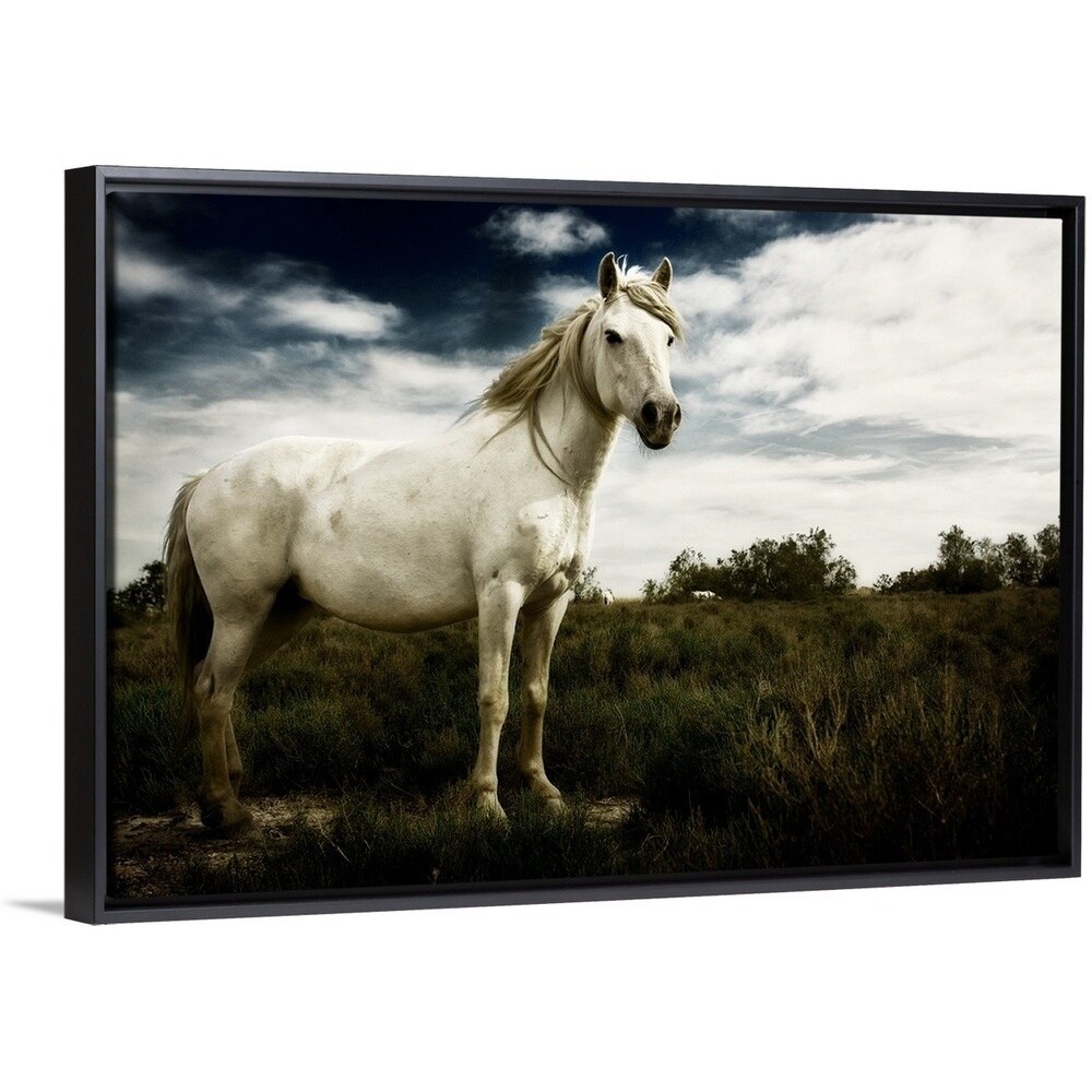 Shop White Horse Multi Color Free Shipping Today Overstock