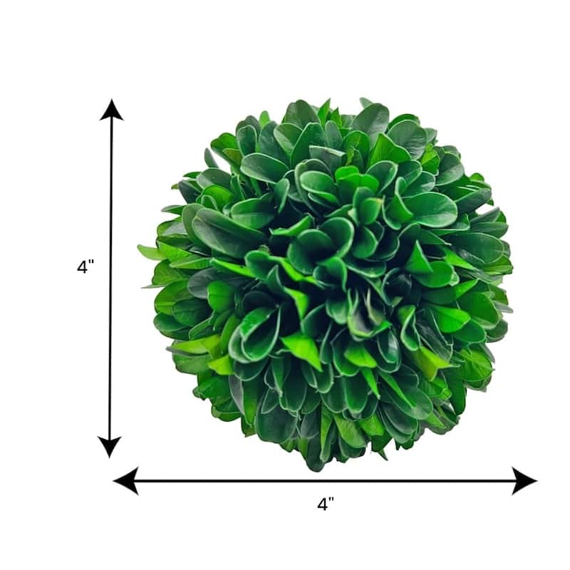 Preserved Decorative Boxwood and Cockscomb Topiary Balls - Set of 3