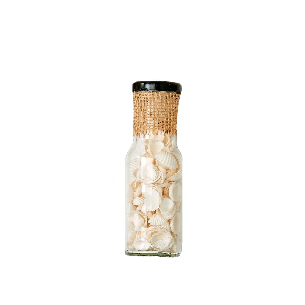 Shells in 6" Glass Bottle, Set of 2 - 6