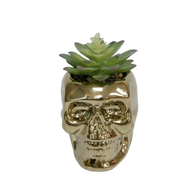 Met Skull Succ
