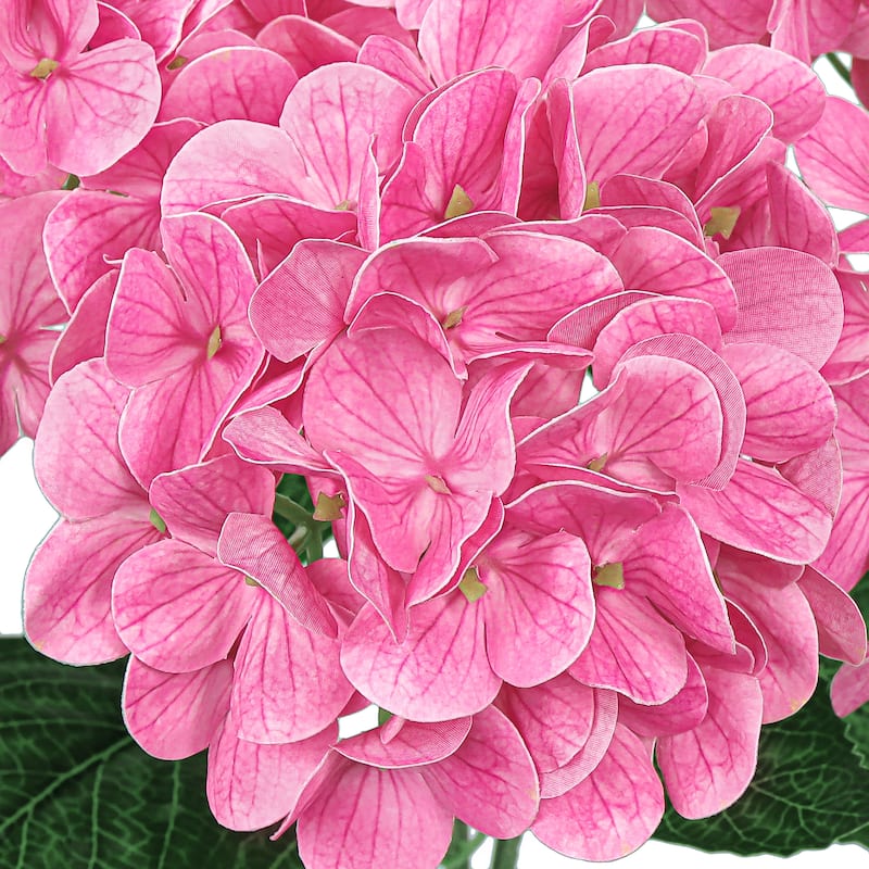 Set of 2 Natural Touch Pink Fuchsia Artificial Hydrangea Flower Stem Bush Bouquet 18in - 18" L x 11" W x 11" DP