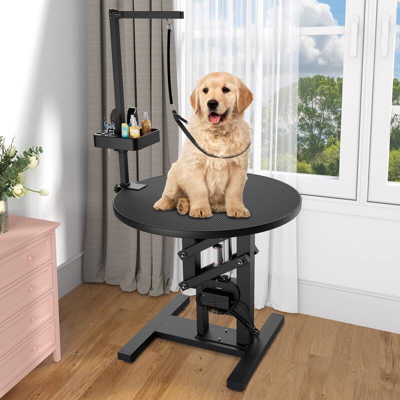 Electric Lift Dog Grooming Table 24" Rotating Desktop Pet Grooming Table for Small Dogs Cats - 24''
