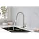Option Brushed Nickel