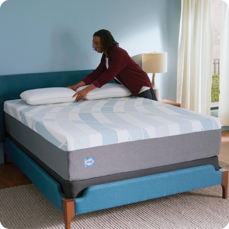 Sealy Dreamlife 14" Foam Mattress-in-a-Box