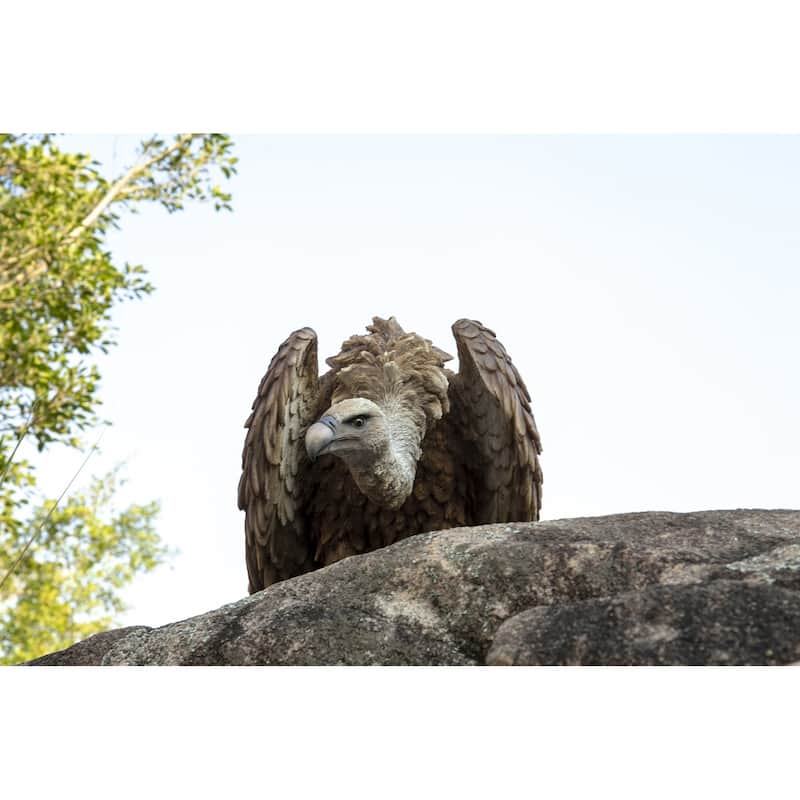 Bald Eagle Outdoor Garden Statue - 23.75"