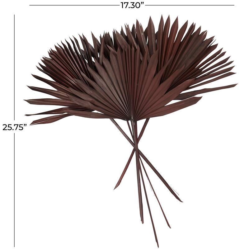 White or Dark Brown Dried Plant Handmade Large Sun Spear Palm Leaf Natural Foliage