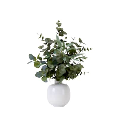24" Artificial Eucalyptus Leaves Arrangement with Ceramic Planter