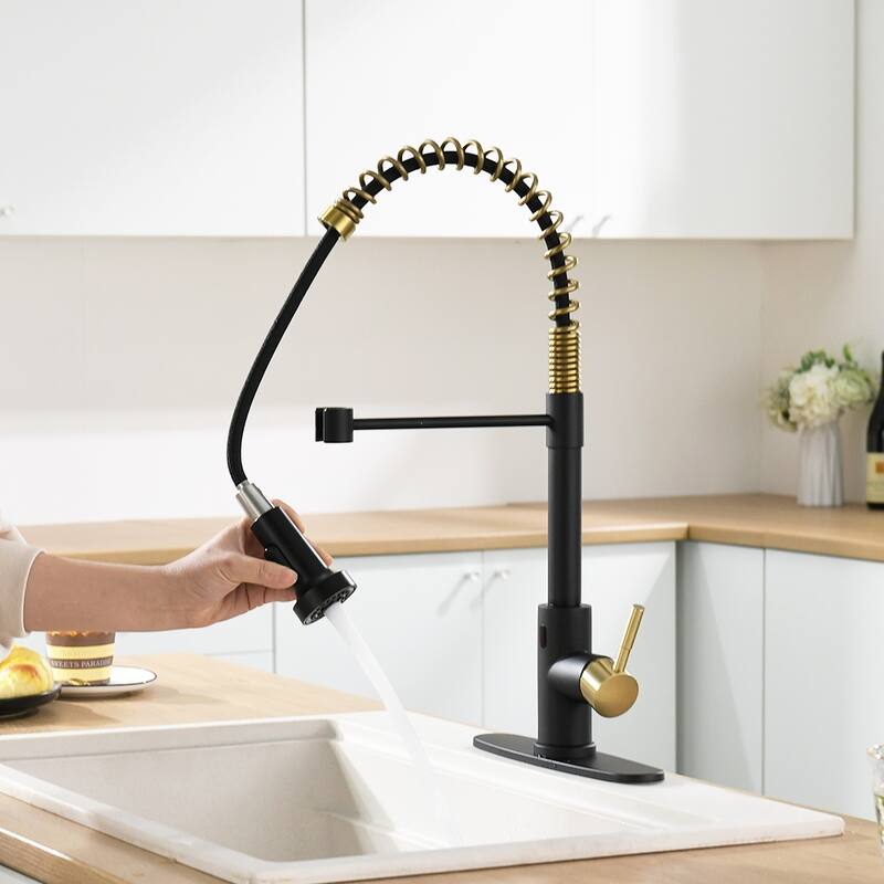 Kitchen Faucet with Battery Control Valve