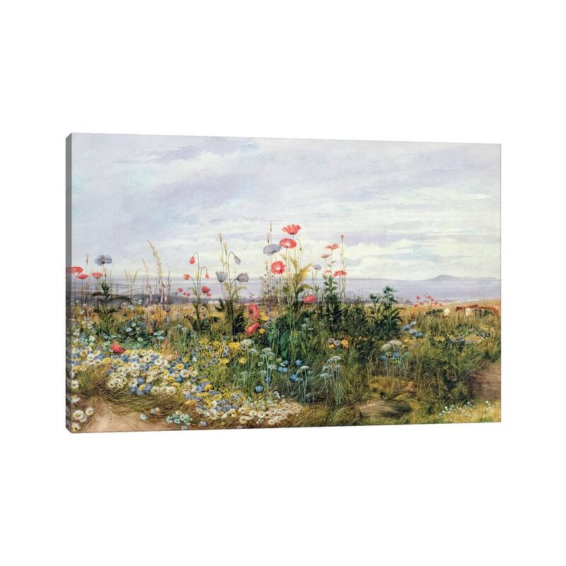 iCanvas "Wildflowers with a View of Dublin Dunleary " by Andrew Nicholl Canvas Print